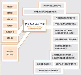 中國(guó)物品編碼中心的工作職能與信息技術(shù)咨詢服務(wù)